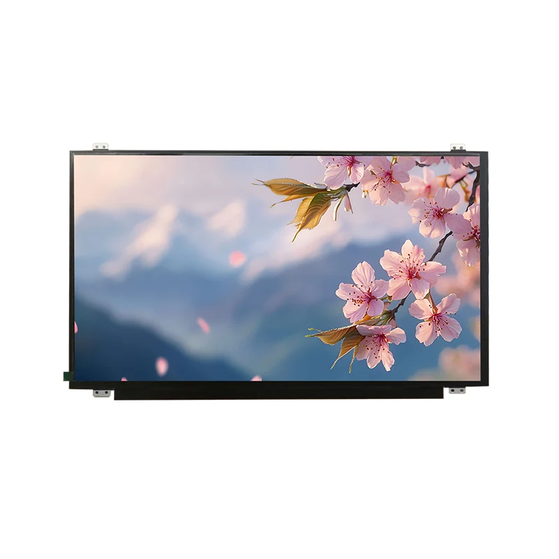 15.6' HD Wide Temp IPS TFT LCD Screen Module