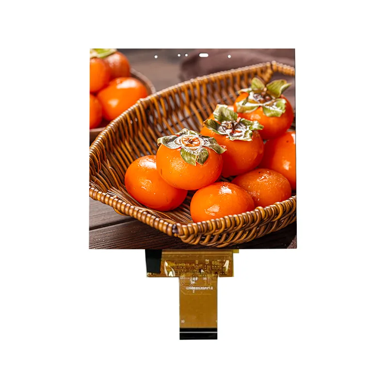 3.95 Inch Small Size IPS In-cell Touch Screen Module for Smart Home 3.95 Inch Small Size IPS In-cell Touch Screen Module for Smart Home