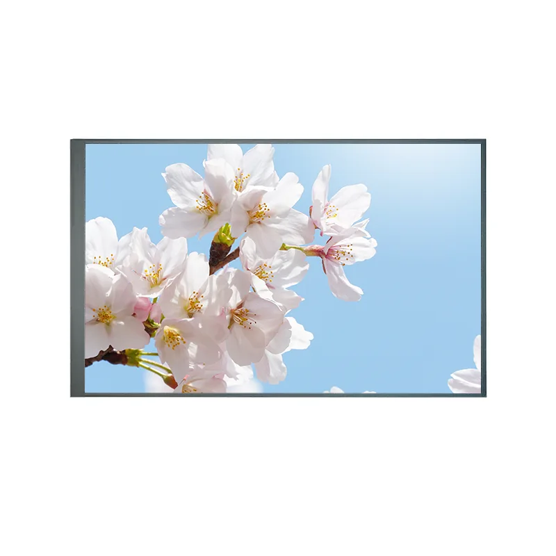 8.0 inch Normally Back TFT IPS TFT LCD Screen Module